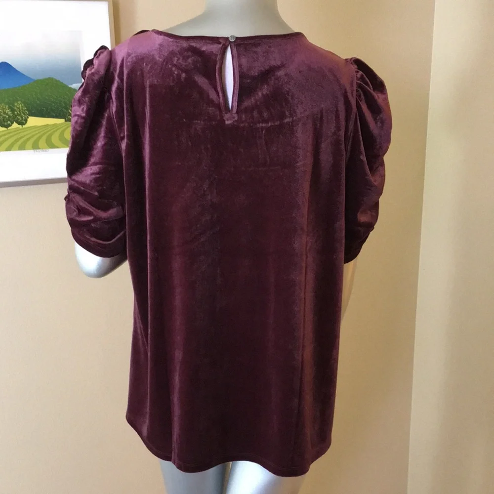 LOFT | Ruched Velvet Top Crushed Blackberry